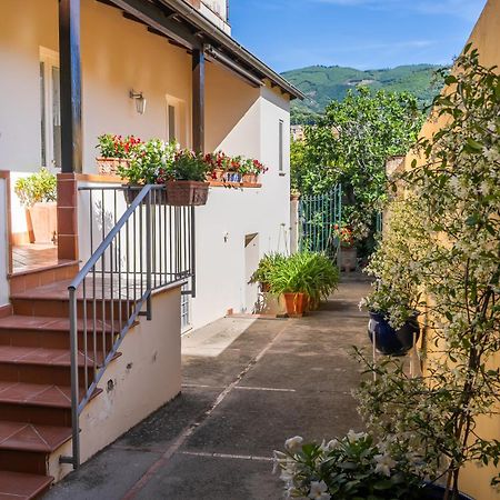 Casa Assunta B&B Vico Equense Exterior photo