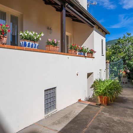 Casa Assunta B&B Vico Equense Exterior photo